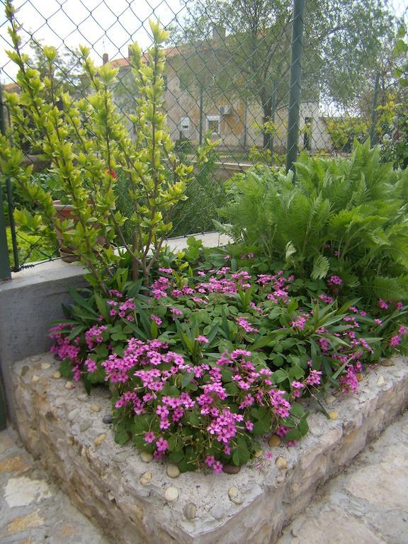 Apartment Slavica Лозовац Экстерьер фото